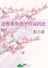 《還有多少日子可以沉淪》